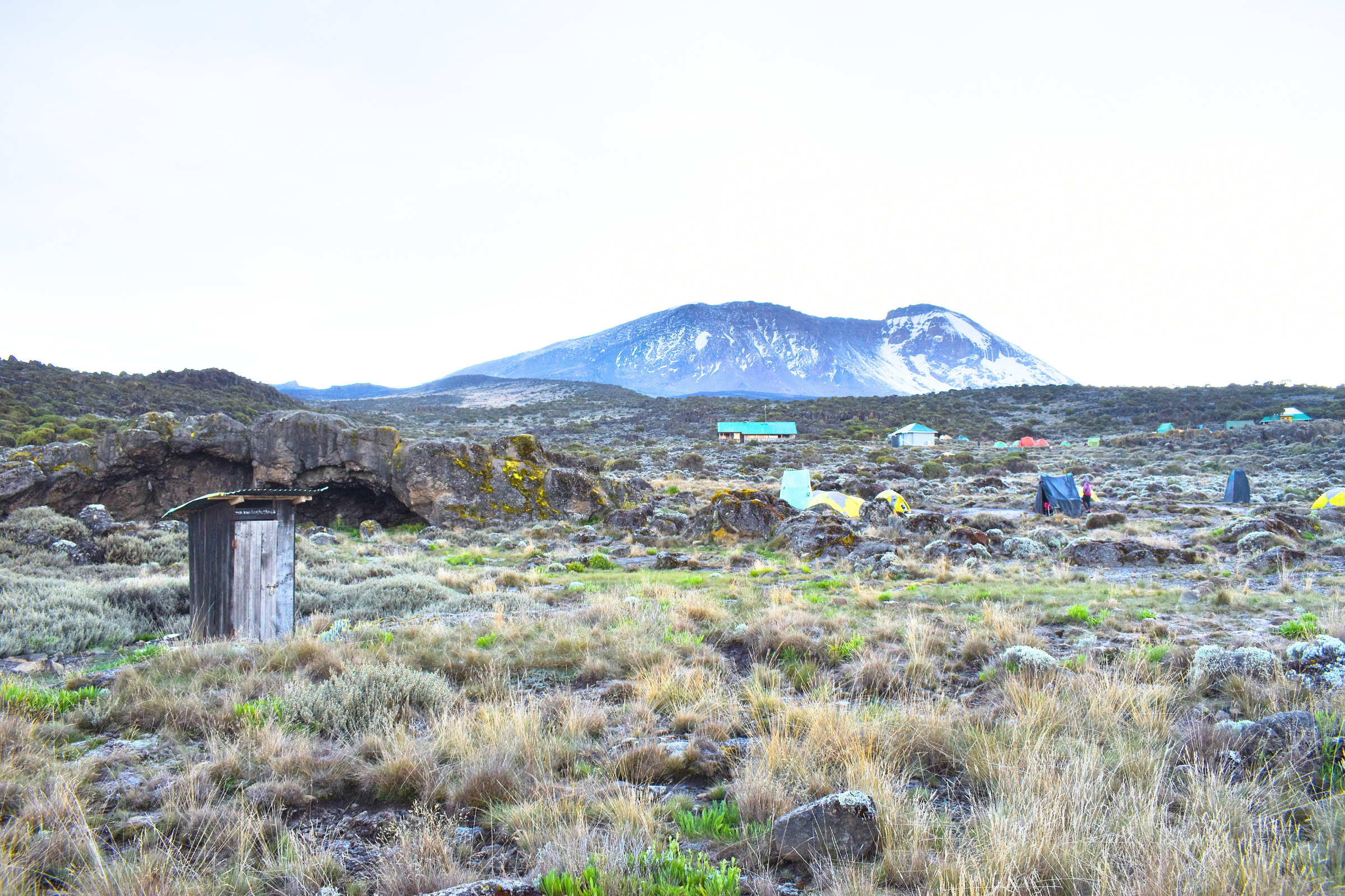 shira 2 camp (4).webp